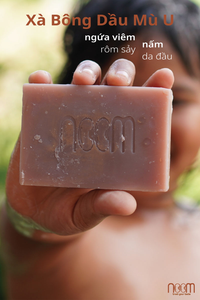 344919172_798388658013378_5519688750557381322_n