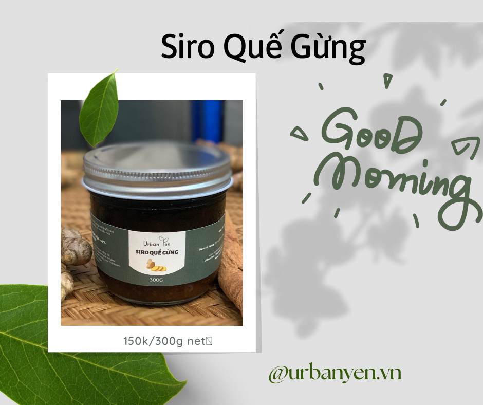 GINGER CINAMON SYRUP (1)