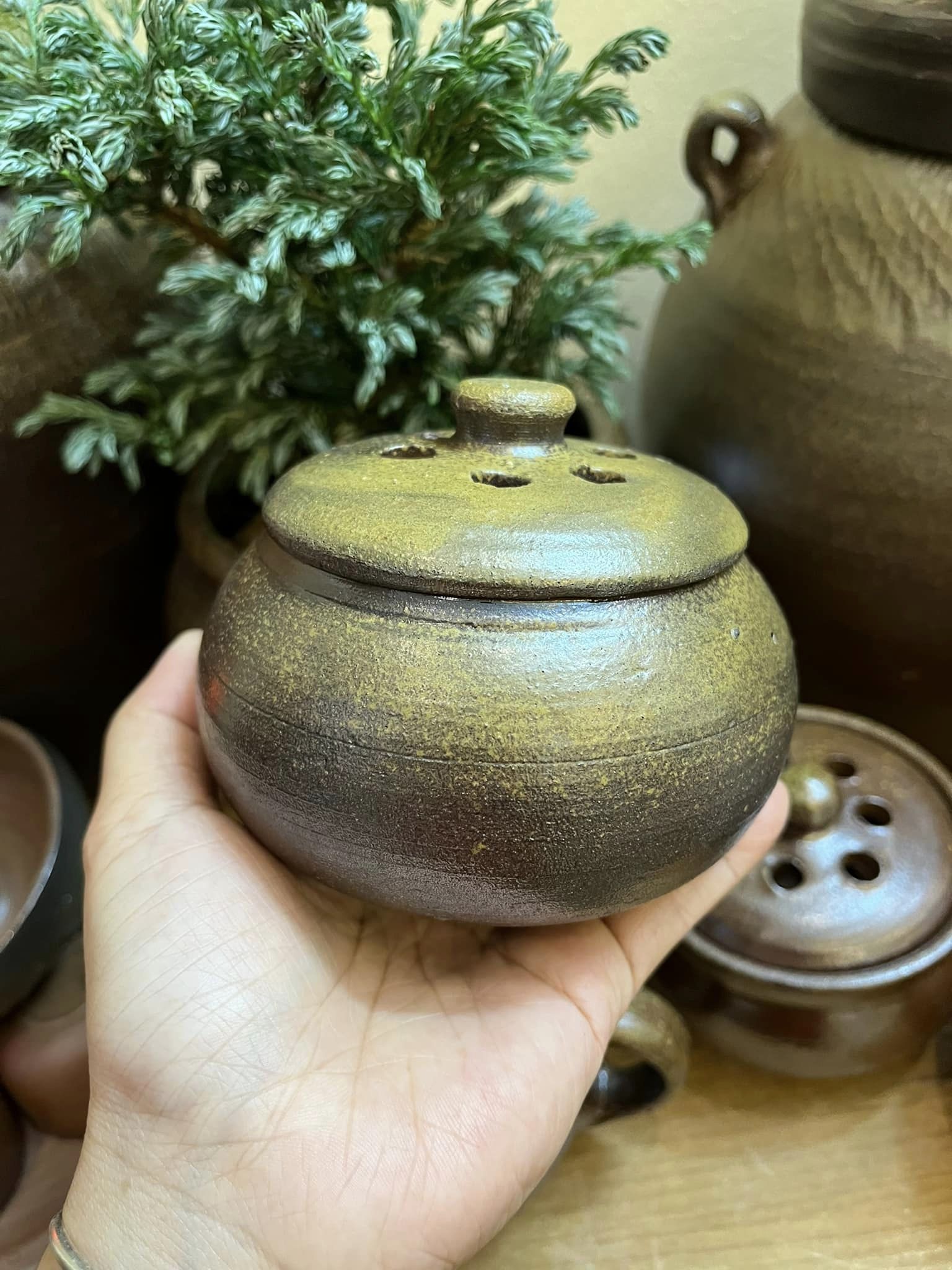 421905436_7466836816673337_4259580642598180007_n