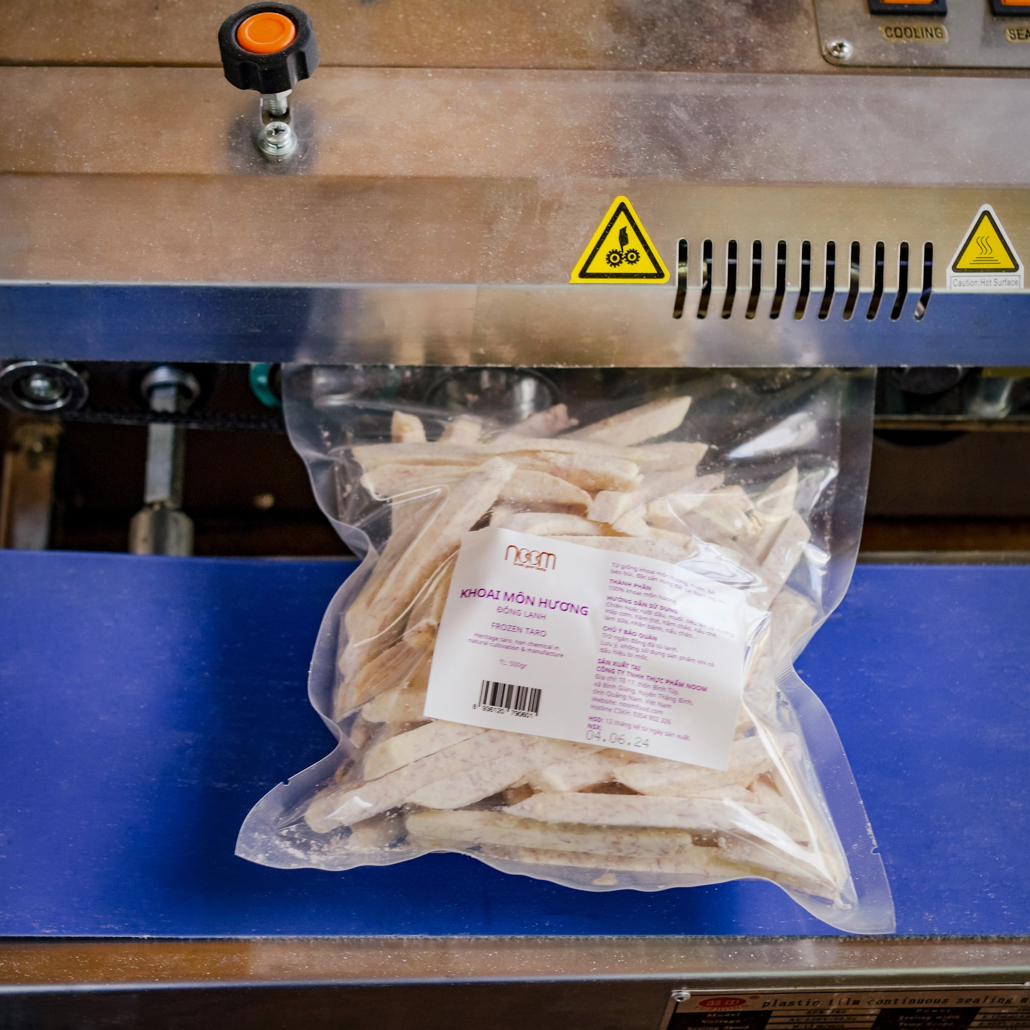 447454098_1059835102333539_9150885948846383258_n