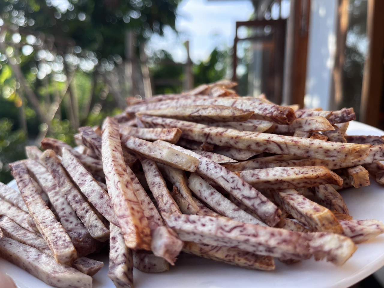 z4455529305929_7b7697e86c1054727b0dbeed520e83e4